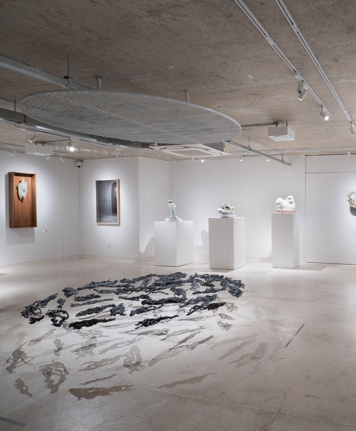 Suspended mesh disc above the floor installation