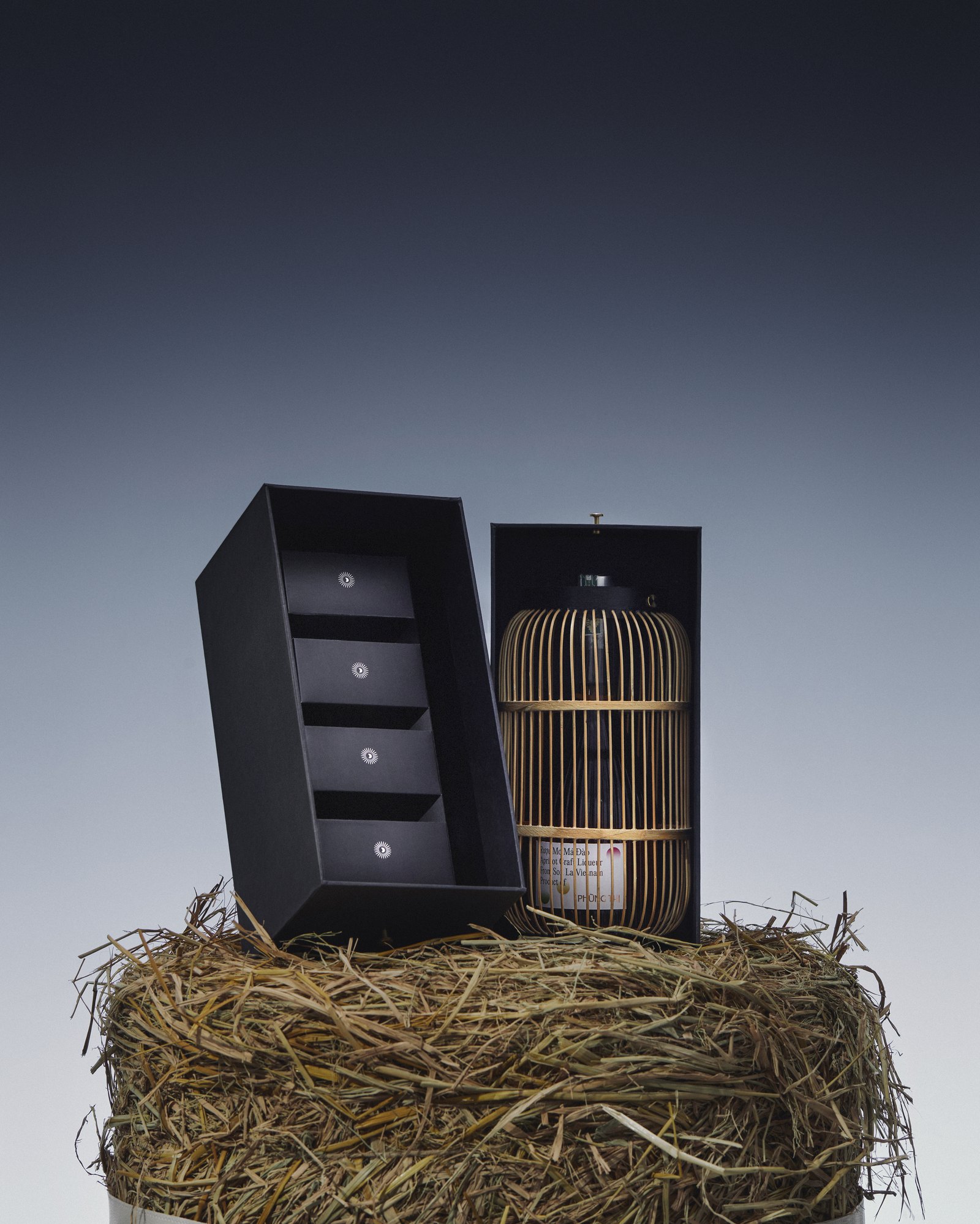 Gift box with birdcage on hay