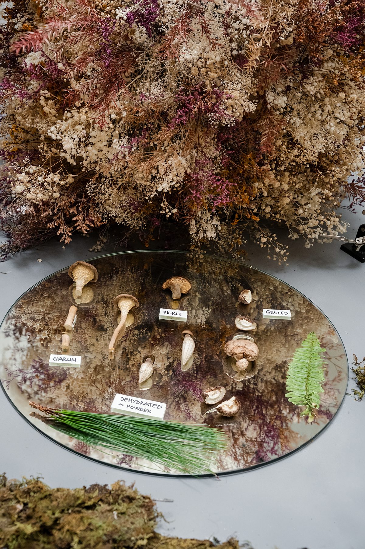 Botanical detail, top view